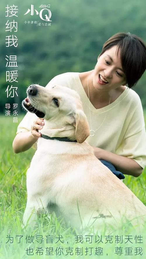 Hochschule Rheinland K?ln硕士成绩单